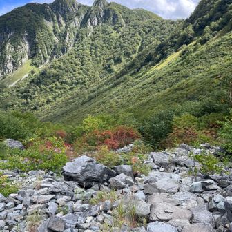 紅葉はまだだが、少しずつ進んでる感じ