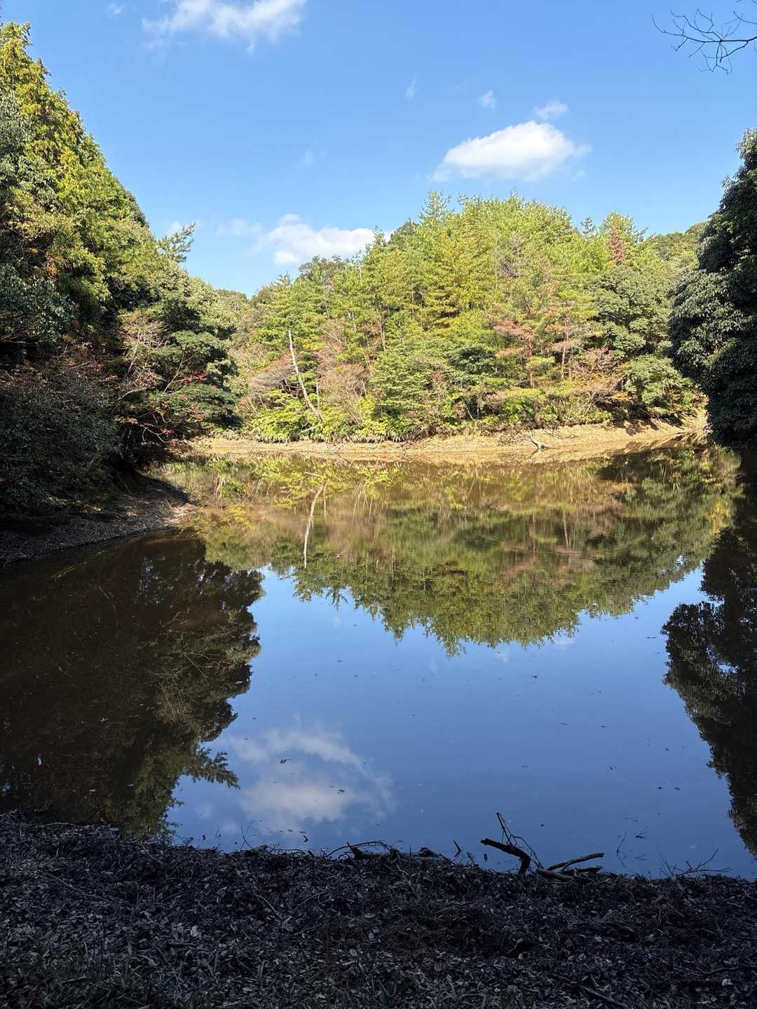 湖面に映る山の姿。水は汚いが。