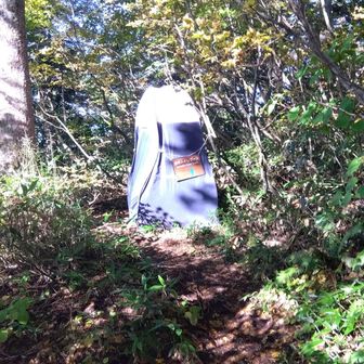 トイレット、使用中でした