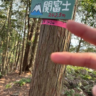 そして2️⃣座目🗻