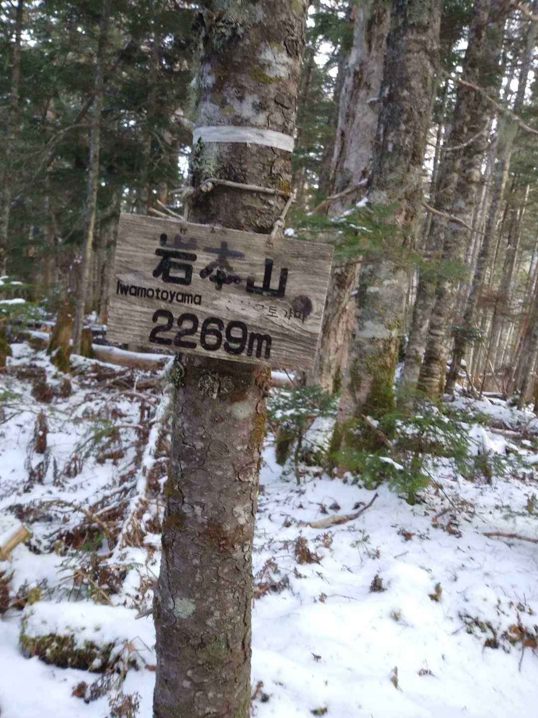 未踏の岩本山🗻😃✨