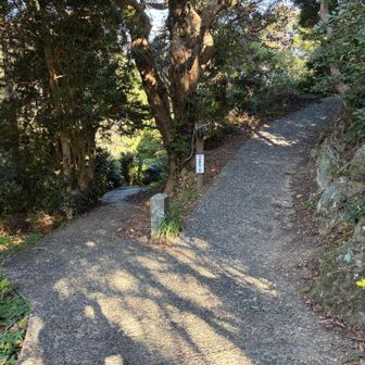 最初に右へ、まずは灯台へ。