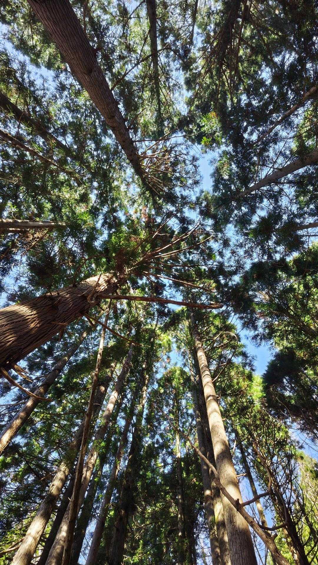 下りが大変だったけど、相変わらずの絶景に大満足💯

公園でJUMPの練習しといてよかった😁