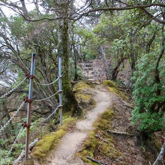 見慣れた柵付き尾根が御出迎えです。💁🏻‍♀️📷