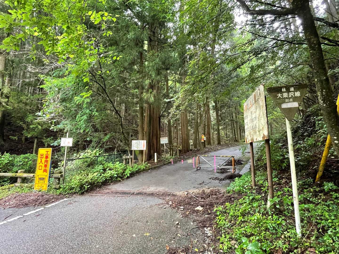 登山口まで降りて来た。名栗元気プラザから車道を登って最初のカーブのところ。
下山して一番やりたいこと。それはトイレに行くこと🚽