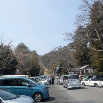 お昼過ぎには70台停まる駐車場は満車