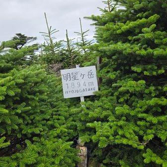 明星ヶ岳山頂に到着🎶