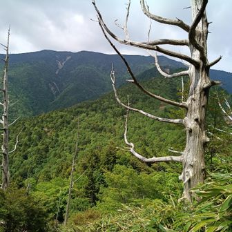 黄金はヨソになかなかの景色じゃ