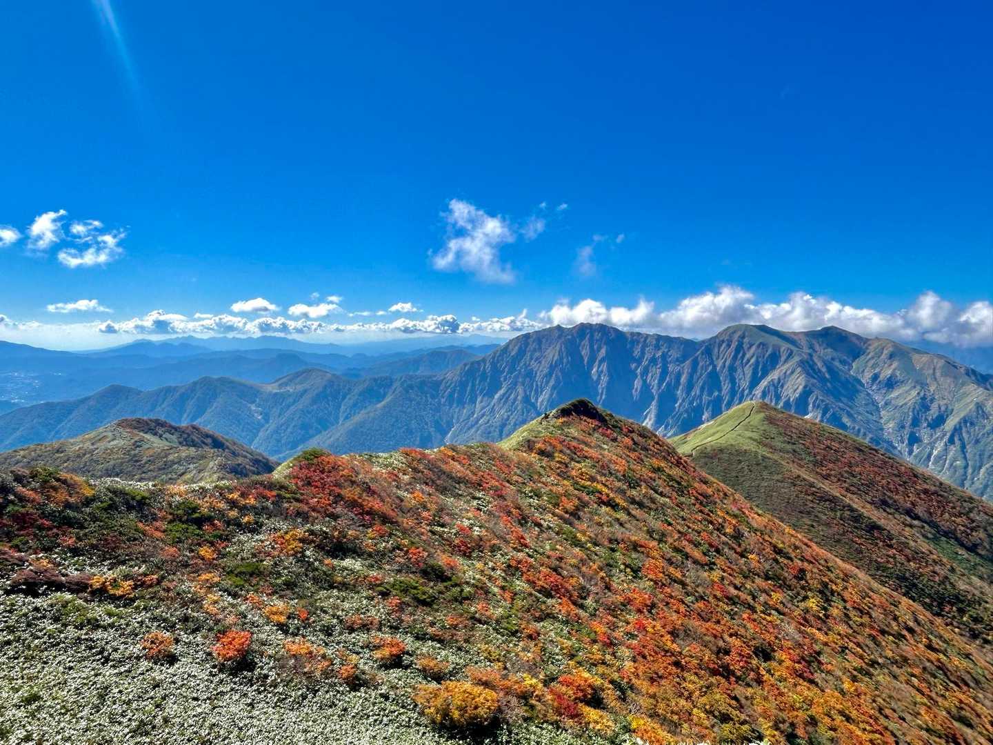 熊穴沢ノ頭-天狗の留まり場-谷川岳-一ノ倉岳-茂倉岳-武能 縦走コースの写真