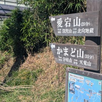 この辺の山はいい山が多そうだ😆