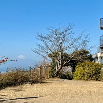 山頂からも富士山🗻
広場になっており、ベンチも多いので休憩にピッタリでした