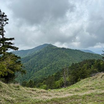 近くの山はまあまあ見えた。