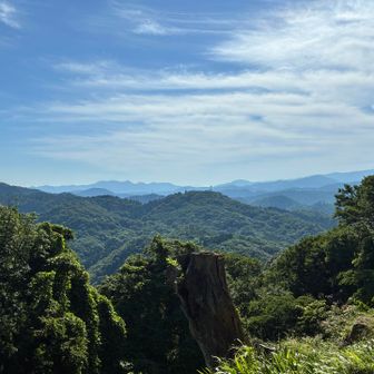 本陣山です
電波塔も見えます