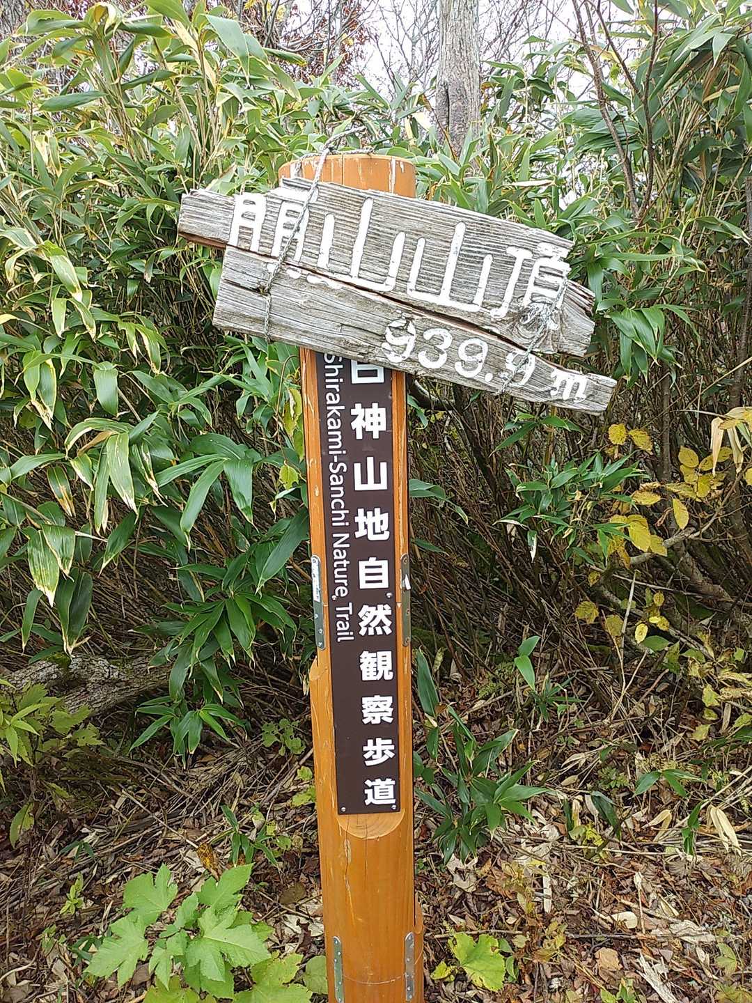 崩山の写真