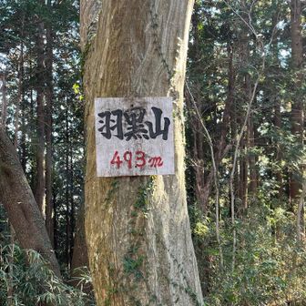 3個目の山。
微妙に標高差あり。