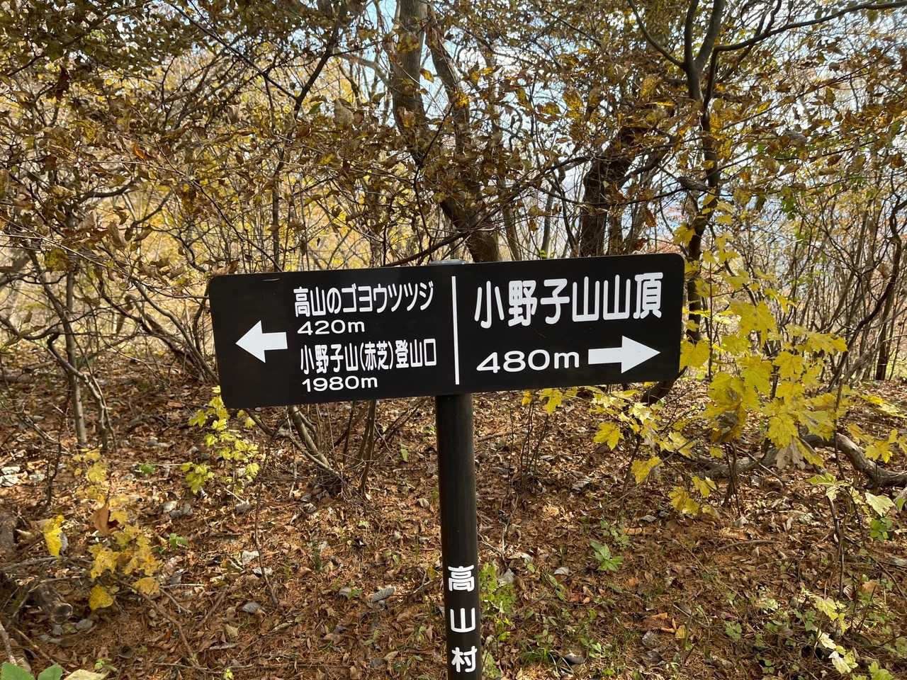 あと480mだって！