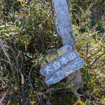 ようやく頂上　7，8年前の看板はこのように