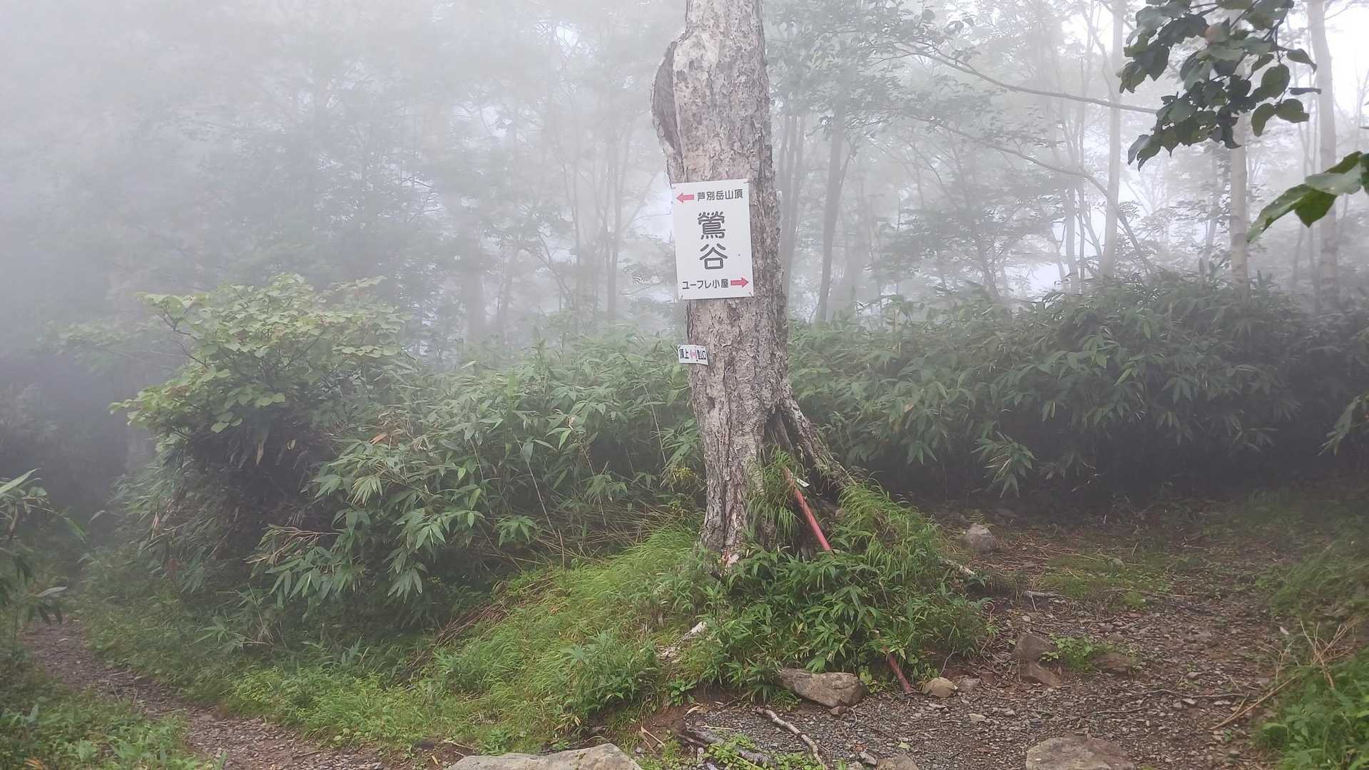 ガスガス😵