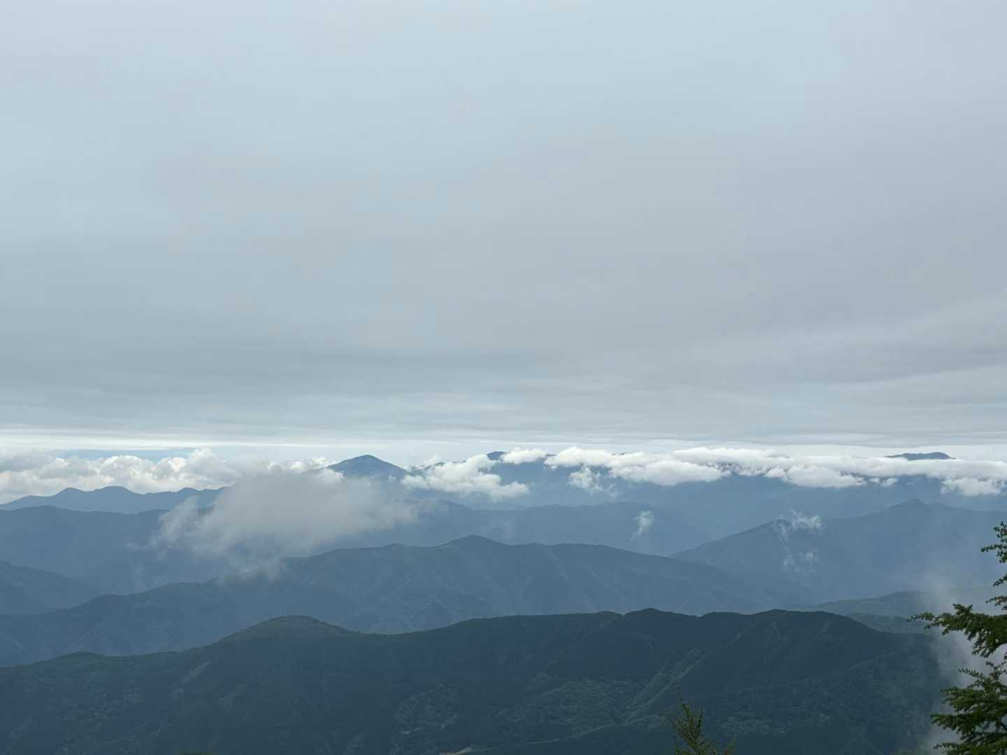 山頂からの絶景
曇りですが、それはそれで雲海っぼくて、すてきでした