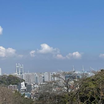見晴らし山の山頂からの横浜ベイブリッジ方面を望みます☀️