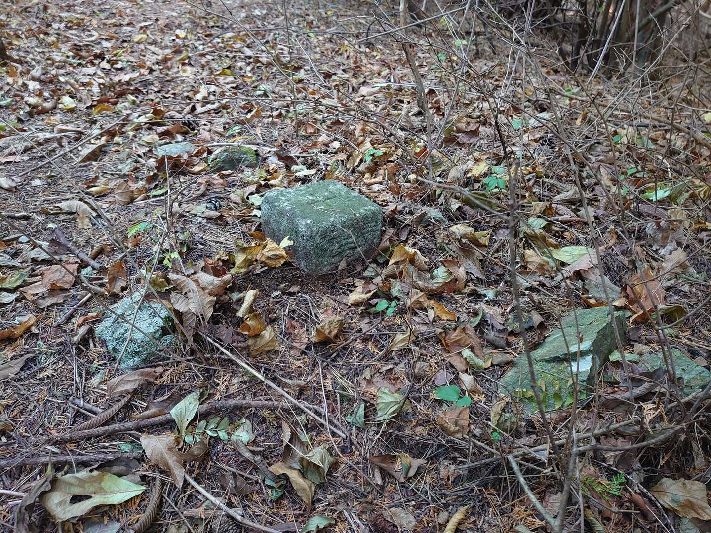 大羽根山到着😢西側の尾根を下ろうと思っていましたが、