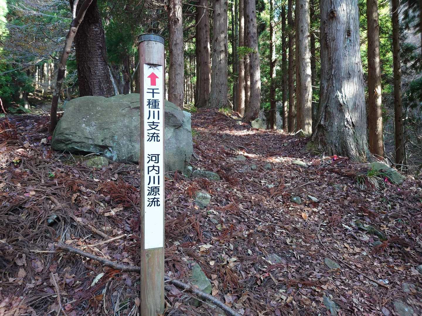 ふむふむ。