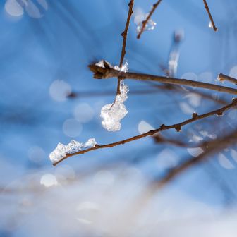 気温が高いので溶け始めてる