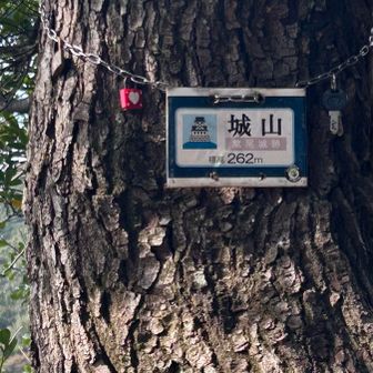 城山（鷹尾城跡）