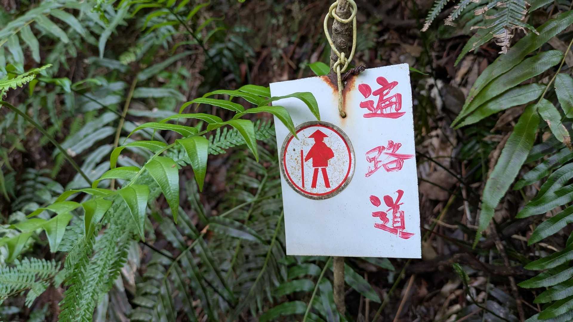 この丸いお遍路さんマークにMAMMUT🦣のロゴも感じが似てるとか思ったり😂