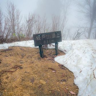 山頂着_(┐「ε:)_さぶい wwwwwwww