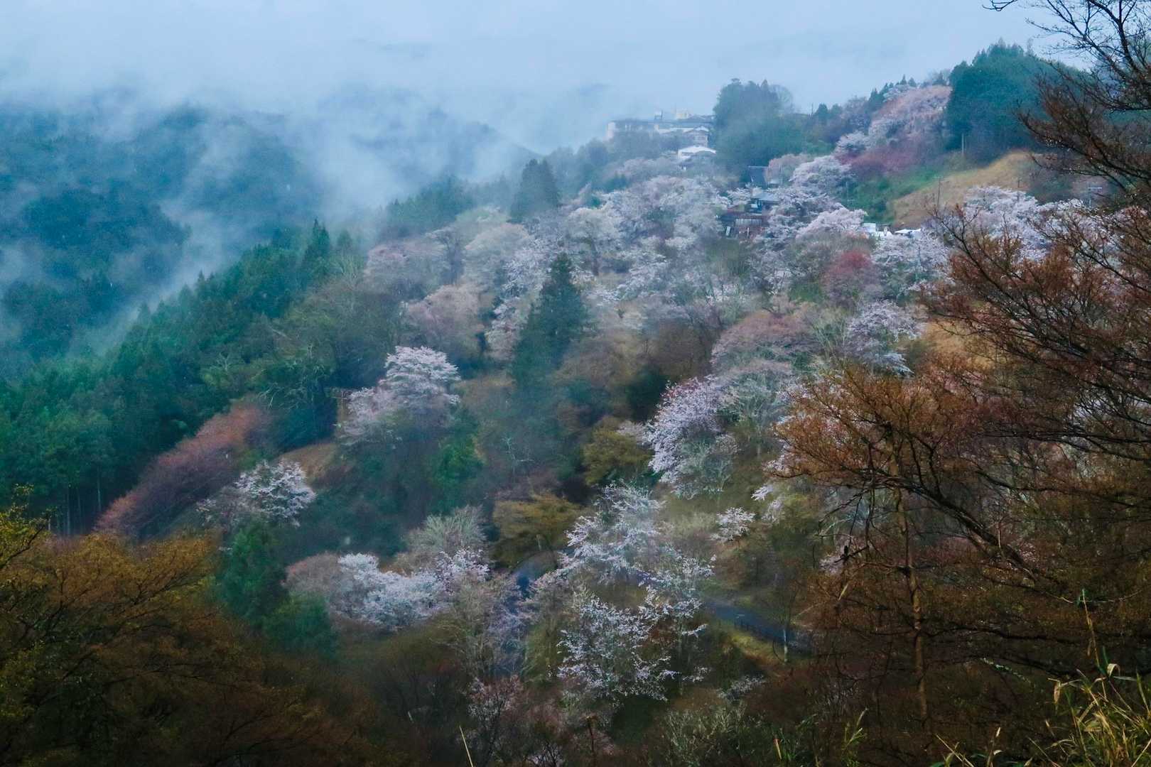 金峯山寺-韋駄天山-吉水神社 往復コースの写真