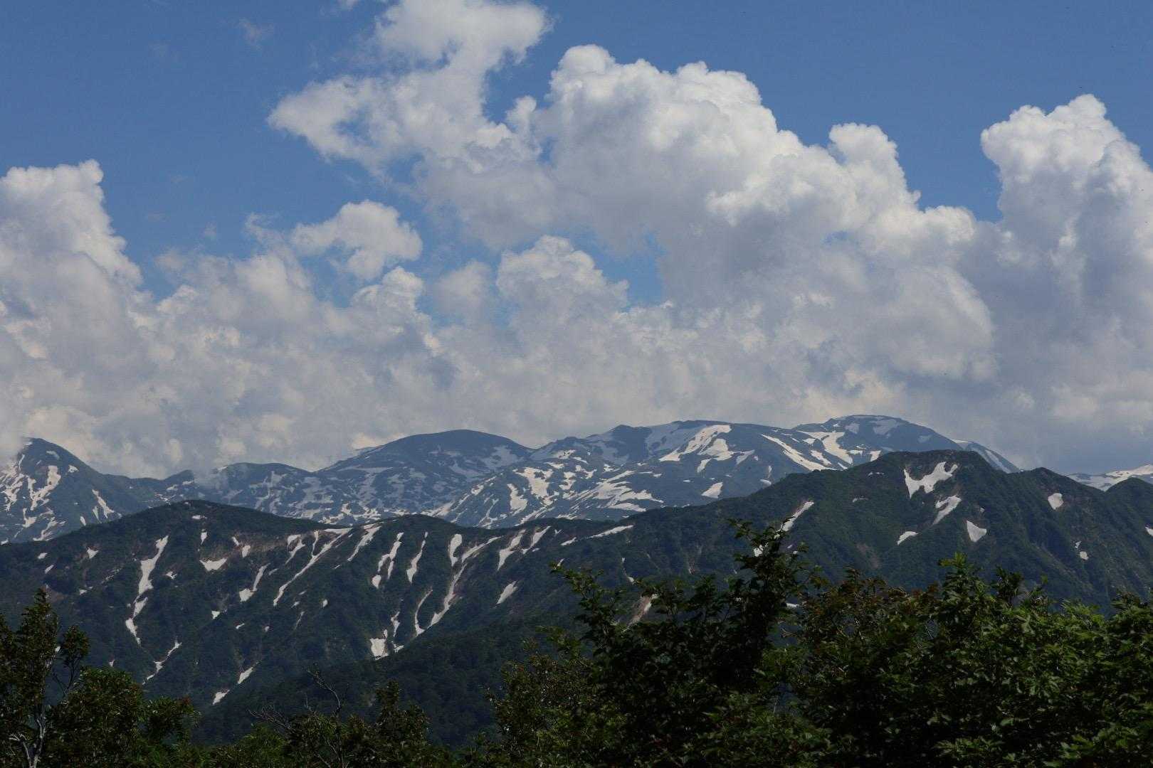 犬ヶ岳（坂田峠）の写真