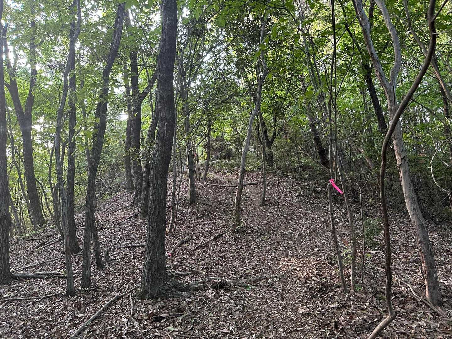 船来山登り口-船来山-郡府山-船来山散策遊歩道入り口 周回コースの写真