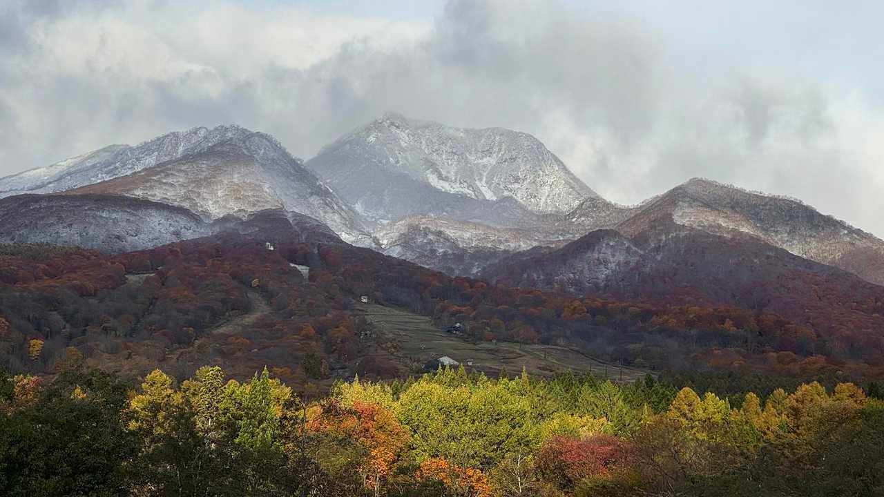 昨晩の雨は雪になってました