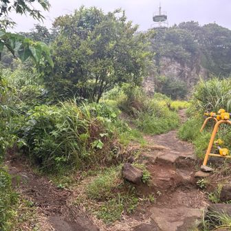 神武寺山へは少し進んで鷹取山を振り返り、
左へ。

間違えて進みそうになりました。