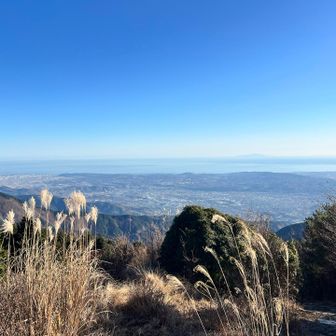 三浦も見えるね