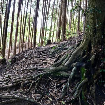 下山してきました