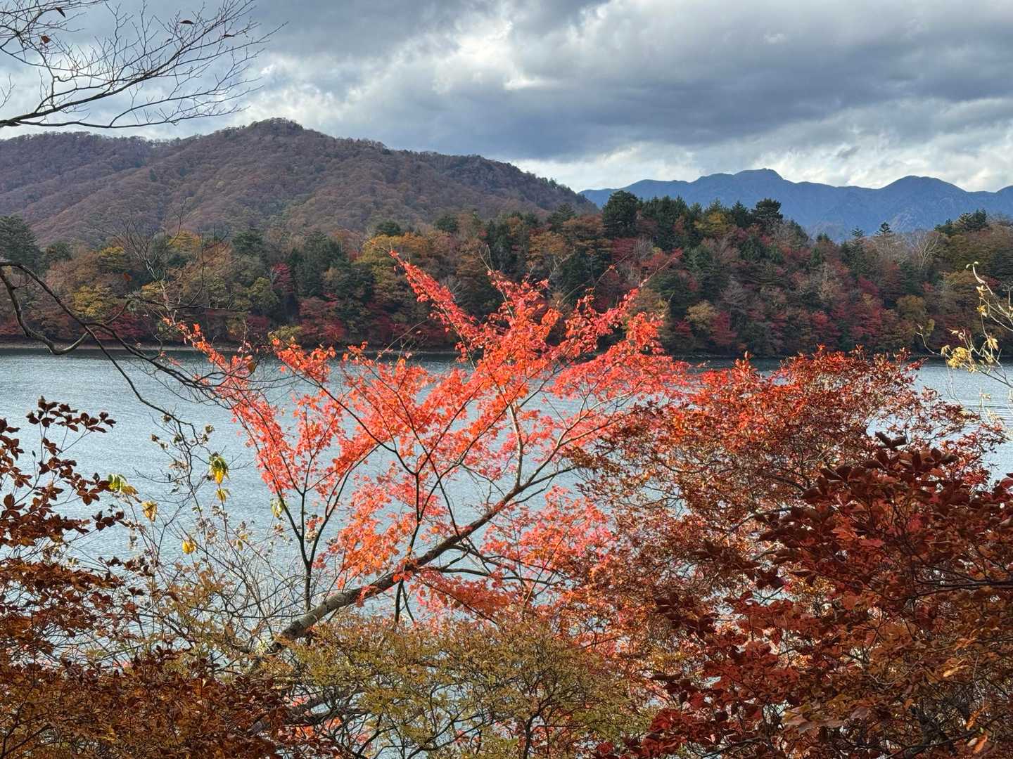 阿世潟峠-社山-黒檜岳-黒槍岳登山口 縦走コースの写真