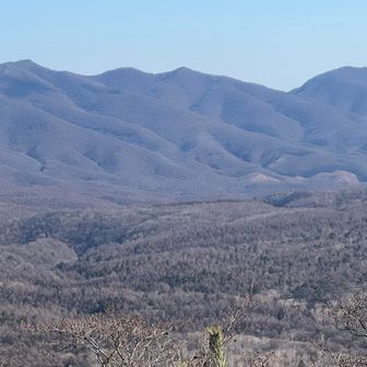 東正面に現れたのは
浅間山麓の広大な樹海と
特徴ある頂上の形からネーミングかな鼻曲山
あのおへその凹み白糸の滝かも⁉️
ちょっと探検ワクワク💓ドキドキ