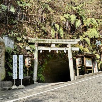 銭洗弁財天に寄る