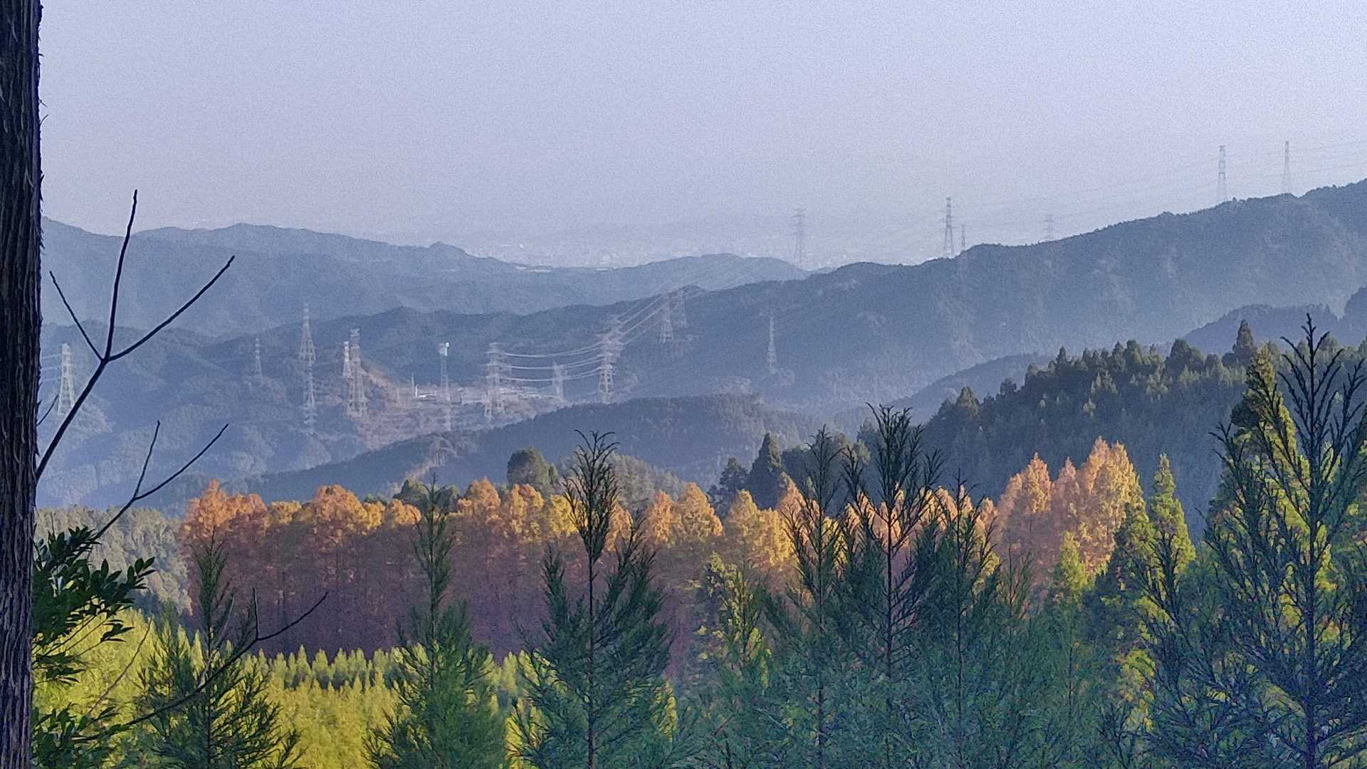 椎原峠登山口-椎原峠-鬼ヶ鼻岩 往復コースの写真