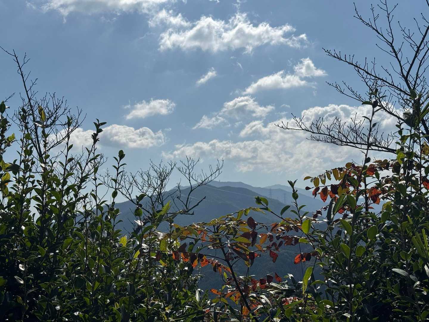 穴虫峠-ダイトレ北入口-二上山 往復コースの写真