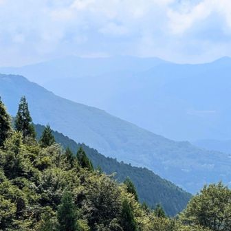 定点 千町峠より
達磨ヶ峰を望む
達磨ヶ峰が一番綺麗なポイントだと思う