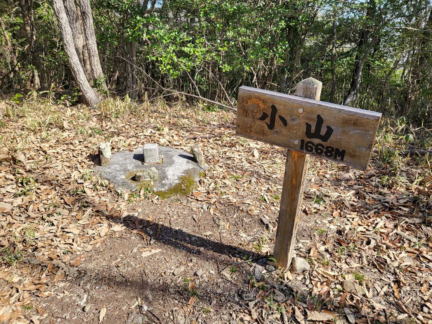 道沿いに現れた山頂
