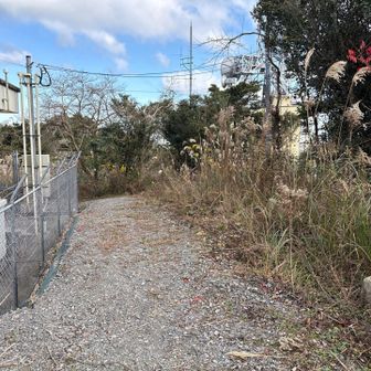 付近はこんな感じ
この後の下山写真は撮り損ね（笑）
すみません