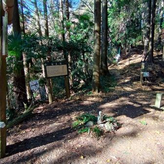 札立峠に到着。
正面の天狗山方面尾根道へ進む。
案内表示あり。
正面奥左は菊水寺方面。
右は水潜寺登山口方面。