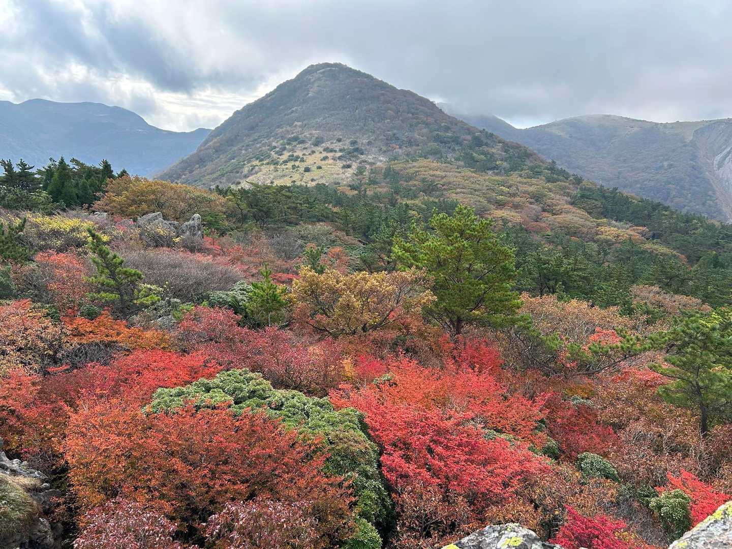 長者原登山口-泉水山 往復コースの写真