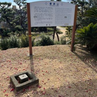 一等三角点のある頂上に到着⛰️
これで大阪50山を番外も含めて完全コンプリート