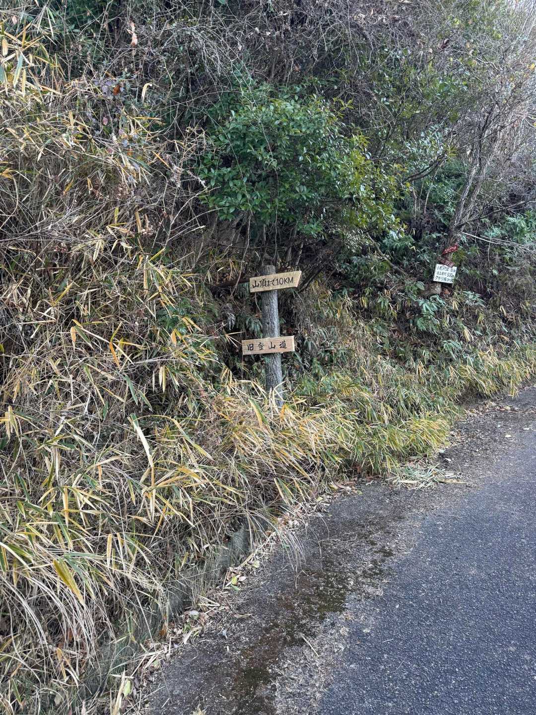 左の旧登山道に入ります