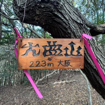 2つめのピーク 大曲山
山名に合わせて文字も曲がってる🤭
さらによく見ると…「大」は人が走っているようにも見えるし、「山」は三角屋根が3つ並んでいるようにも見える😮
センスの良い標識ですっかり気に入った💕